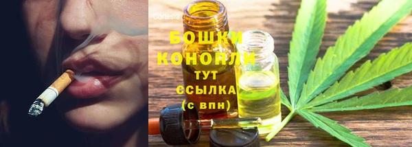 прущие грибы Иннополис