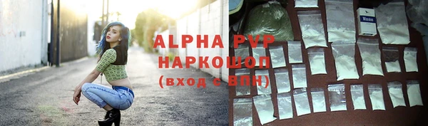 прущие грибы Иннополис