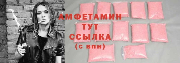 прущие грибы Иннополис