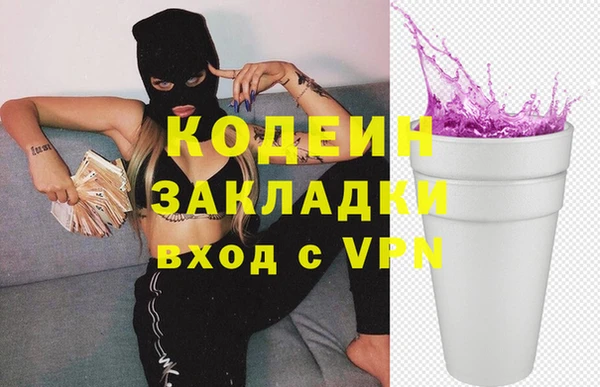 молекула духа Нестеровская