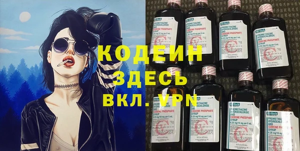 прущие грибы Иннополис