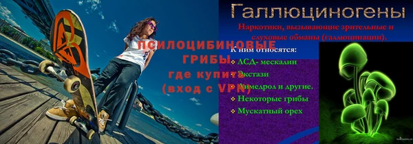 прущие грибы Иннополис