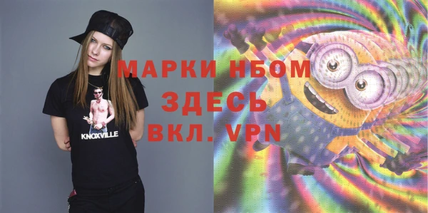 прущие грибы Иннополис
