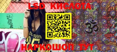 spice Гатчина