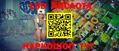 spice Гатчина