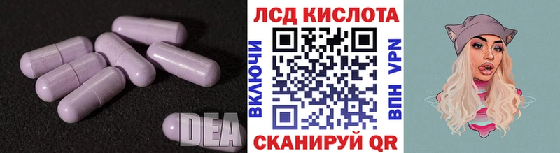 мега онион  Заводоуковск  LSD-25 экстази ecstasy 