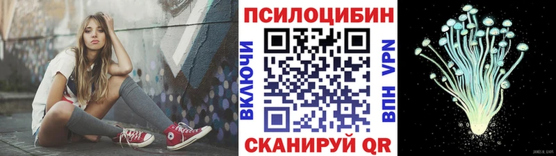 где купить наркоту  Заводоуковск  Галлюциногенные грибы ЛСД 