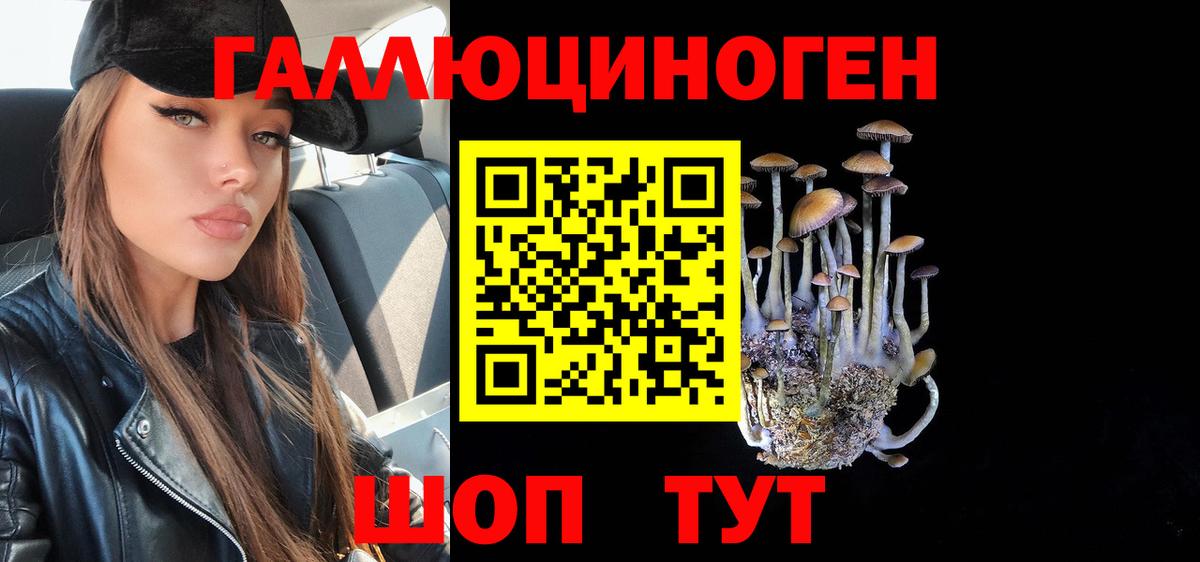 Псилоцибиновые грибы Psilocybe Заводоуковск