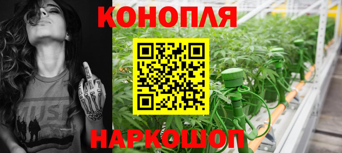 Бошки марихуана план Заводоуковск